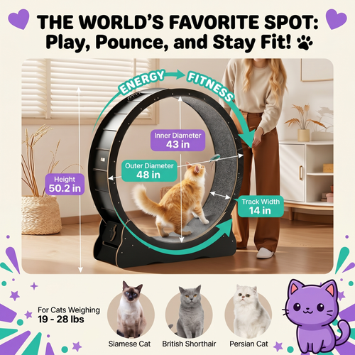 PawSquad cat exercise wheel dimensions - 48 inch outer diameter, fits cats up to 28 lbs